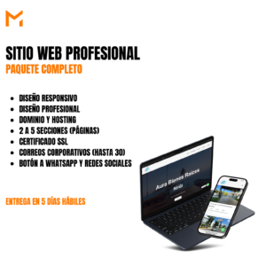 SITIO WEB INFORMATIVO PROFESIONAL