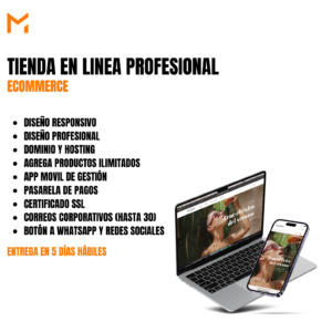 TIENDA EN LINEA (E-COMMERCE)